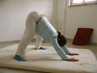 Klassische Yogabung der Schwangerschaft angepasst